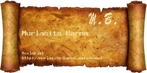 Murlasits Barna névjegykártya